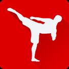 Скачать Fighting Trainer (Оптимизированная версия) на Андроид
