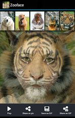 Скачать Zooface - GIF Animal Morph (Полная версия) на Андроид